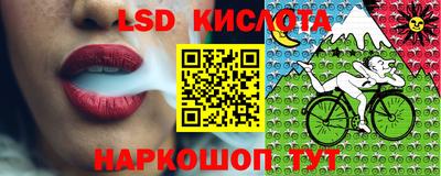 кокс Краснодар