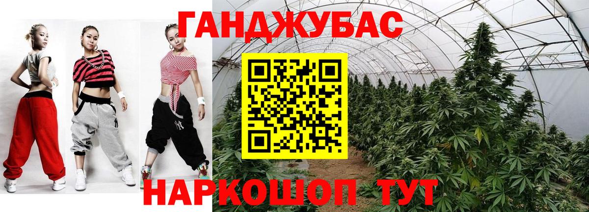 Бошки Шишки семена Ишимбай